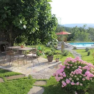 Mavrici, Neighbors Free Buzet